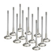 Supertech Inconel Single Groove Sodium Filled Exhaust Valve - Set of 12 | Multiple BMW/Toyota Fitments (MCEVI-1400S-HS-12)