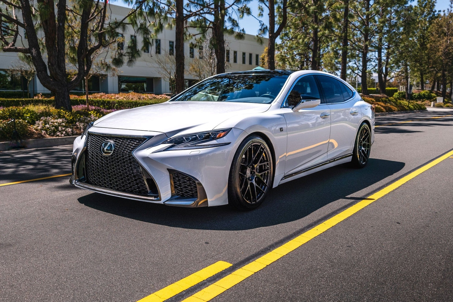Swift Springs Sport Lowering Springs for 2018+ Lexus LS500 (XF50)