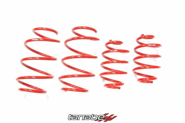 Tanabe NF210 Lowering Springs - 2013-2014 Nissan Sentra SR