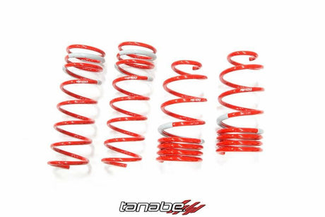 Tanabe NF210 Lowering Springs - 2014 Nissan Versa Note