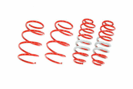 Tanabe NF210 Lowering Springs - 2017-2018 Toyota C-HR