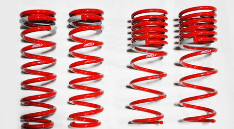 1992-1995 Honda Civic coupe Sedan DF210 Springs by Tanabe (TDF004)