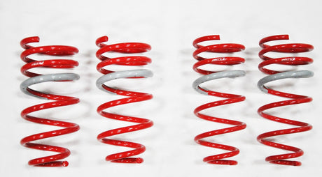 1998-2002 Accord 4Cyl DF210 Springs by Tanabe (TDF023)