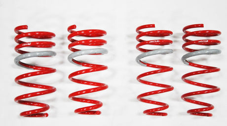 1998-2005 Lexus GS300 DF210 Springs by Tanabe (TDF024)