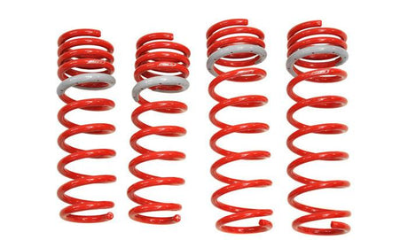 1990-1993 Acura Integra Hatchback/Sedan DF210 Springs by Tanabe (TDF029)