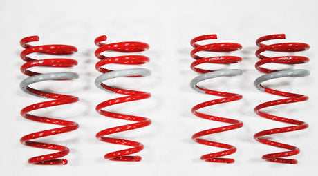 2000-2005 Lexus IS300 DF210 Springs by Tanabe (TDF038)