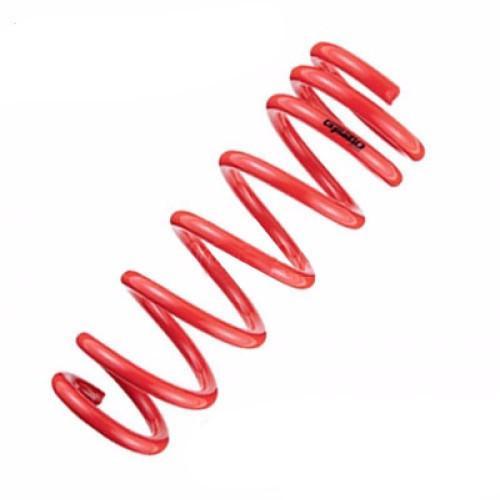 Tanabe NF210 Lowering Spring Kit (Mazdaspeed3 2008)