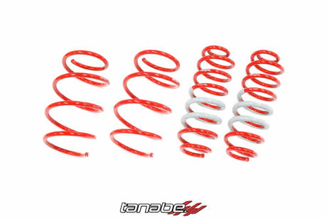 Tanabe NF210 Springs | 2018 Toyota CH-R (TNF202)