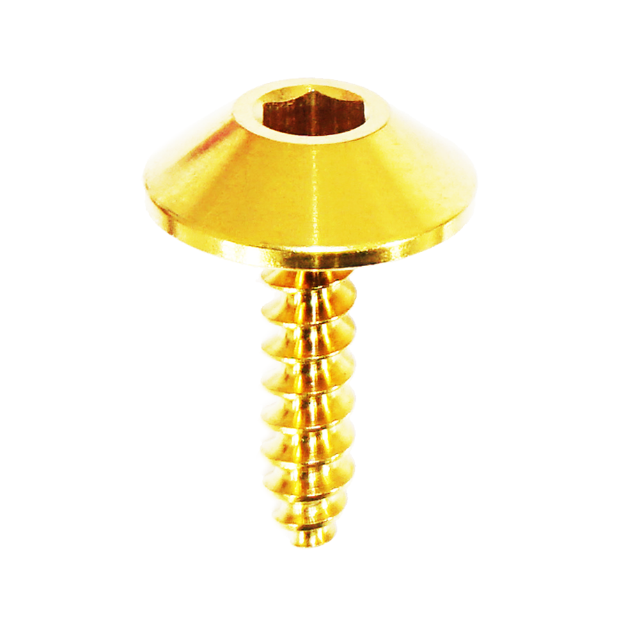 ZSPEC Angled Coarse M4x16mm Fastener, Titanium Grade-5, per Each