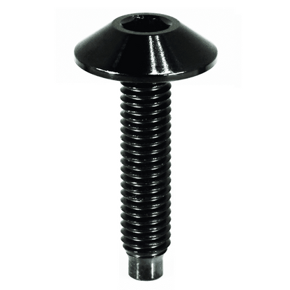 ZSPEC Body Kit Fastener, Low-Profile M5x25mm Titanium, Sold per Each